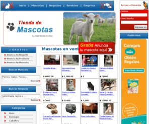 tiendademascotas.com.mx: mascotas, perros, gatos, peces, aves, exoticos
Venta de mascotas, mascotas, perros, gatos, peces, aves, exoticos, veterinarias