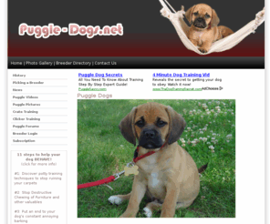 puggle-dogs.net: Puggle  Breed Information and Breeder Directory
Labradoodle Breed Information and training advice. USA breeder directory.