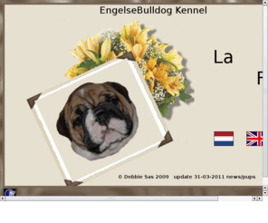 kennel-lafleur.nl: Kennel La Fleur
Kennel La Fleur is gespecialiseerd in het verzorgen van Engelse Bulldogs