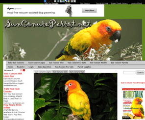 sunconureparrot.net: Sun Conure
All about sun conure: diet, health, training, cages, pictures, babies, forum, more...