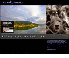 martadiazromo.com: Bienvenido - marta díaz romo
Descripción