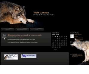 wolf-canyon.com: Wolf-Canyon
 -Criador de Alaskan Malamutes