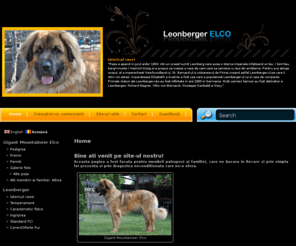 leonberger.ro: Leonberger
