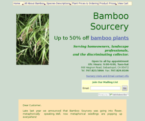 bamboosourcery.com: Bamboo Sourcery - Bamboo plants for sale at our specialty nursery in Sebastopol, CA.  Buy online!
Over 300 varieties of bamboo, including the rare and exotic. Order online or visit our 8-acre garden in Northern California, by appointment.