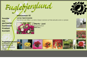 chrysanthemum-dk.com: Gartneriet Fuglebjerglund ApS - Lev.nr.: 50080 - Tlf. +45 65 96 10 72
