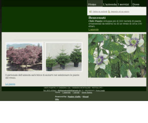 vivaipiantechiti.com: Chiti Piante - Vivaio - Chiesina Montalese - Visual Site
La Chiti Piante è un'azienda leader nel settore vivaistico per la qualità delle piante e la passione nel mestiere.