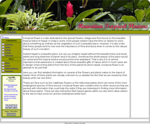 a-tropical-flower.com: Flower
Flower website.