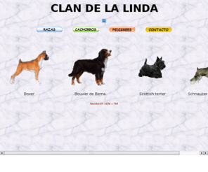 clandelalinda.com: compra venta de cachorros
compra venta de cachorros