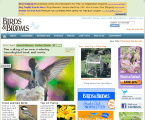 backyardlivingmag.com: Birds & Blooms Magazine: Flowers, Birds, Hummingbirds & Butterflies | Birds & Blooms
<meta name="Description" content="birdsandblooms.com and Birds & Blooms Magazine feature free practical tips for growing bigger blooms and attracting more birds to your backyard, beautiful photographs of your favorite birds, birdhouses and flowers and fun facts about birds and butterflies">   
