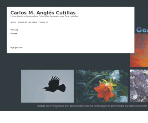 carlosmac.es: Carlos M. Anglés Cutillas
Fotografiando en la naturaleza. Fotografías de paisaje, aves, flora y detalles.