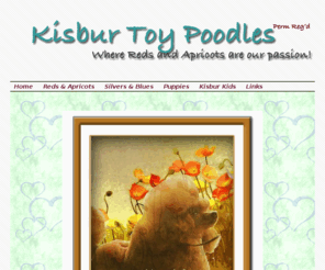 red-toypoodles.com: kisbur red toy poodles
small Toy Poodle Show Kennel, breeding and showing quality silver, blue, apricot and red Toy Poodles. Puppies occaisionally availabe, tinies sometimes. Boarding,grooming and stud services. Puppies occaisionally available. Tinies sometimes.Country setting near Ottawa, Canada. See photos of our dogs and puppies.