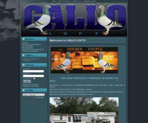 galloloft.com: Welcome to GALLO LOFTS
Pigeon racing