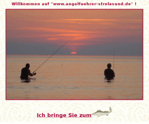 angelfuehrer-strelasund.de: Willkommen auf "www.angelfuehrer-strelasund.de" Ich bringe Sie
zum Fisch
Ich möchte alle Angelsportbegeisterten und solche die es werden wollen mit dieser Seite ansprechen. In meinem Angebot finden sich geführte Angeltouren an der wunderschönen Ostseeküste auf Ihren Zielfisch, Watangeln, Bootsvermietung, Karpfenangeln, Kinderangeln... Schauen Sie einfach rein!