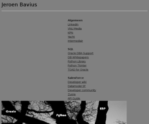 bavius.net: Jeroen Bavius
Jeroen Bavius