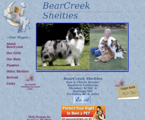 bearcreekshelties.com: bearcreekshelties
BearCreek Shelties, shetland sheepdog, sheltie,