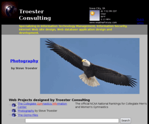 troester.com: Troester Consulting
