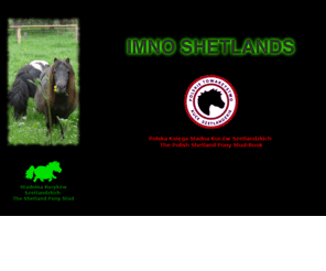 shetland-pony.com.pl: Imno Shetlands
Imno Shetlands Stud Home Page