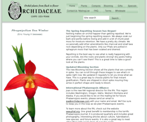 gypsysallysproducepalace.com: Orchidaceae, Inc.
Orchidaceae, a place where serious collectors and casual fanciers alike will discover the intoxicating world of beautiful orchids. From species to the latest hybrids, its all here.