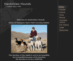 hawksviewhounds.com: HawksView Hounds - Home
Welcome to HawksView Hounds  Home of Champion Open Field Coursing Salukis  The function of the Saluki is not to be beautiful,He is beautiful because of his function,His function is to be a HUNTER.