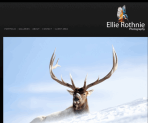 ellierothnie.com: Wildlife, Nature, Travel and Macro Photography | Shropshire/Powys | Ellie Rothnie - home | Ellie Rothnie
A portfolio of wildlife, nature and macro photography taken in the UK and Europe