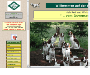 irishredandwhitesetter.info: Irish Red and White Setter Zwinger vom Duvenseer Moor - Germany
Wir zchten Irish Red and White Setter fr den jagdlichen Einsatz