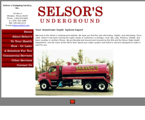 selsors.com: 
