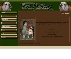 todsbulldogs.com: Tods Bulldogs Kennel
XX