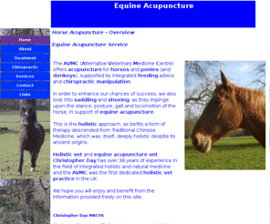 equineacupuncturevet.co.uk: Equine Acupuncture
EQUINE ACUPUNCTURE VET offers a practical alternative for back problems and other painful conditions of the horse.