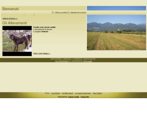 agriturismoilbarone.com: Agriturismo Il Barone allevamento produzione carne - Cantalice - Rieti - visualsite
agriturismo rieti, agriturismi rieti, aziende agricole rieti, azienda agricola rieti, carne chianina rieti