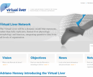 virtual-liver.org: Virtual Liver Network
A major national initiative funded by the German Federal Ministry for Education and Research. The Virtual Liver will be a dynamic model that represents human liver physiology morphology and function, integrating quantitive data from all levels of organisation.