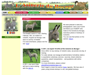 asineriedubocage.com: Asinerie du Bocage. Lurn everything on donkeys: activities, breedin, hiking, carting...
Lurn everything on donkeys: breeding advises, carting and excursions formation, purchases advises, donkey sales...