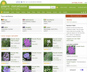 plantdatabase.org: Plant Database  | A user generated plants resource
Plant Database is a free worldwide user generated resource for everyone interested in plants.