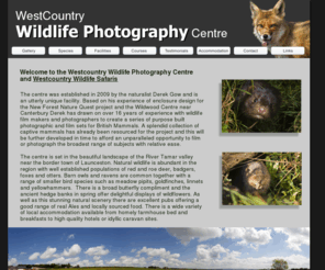 wcwpc.co.uk: Westcountry Wildlife Photography Centre
Westcountry Wildlife Photography Centre Home Page