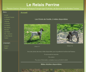 relais-perrine.com: Le Relais Perrine   » Elevage de braques français type pyrénées, de spinones, de borders terriers - Pension canine - Saillies - Chien de chasse
Le Relais-Perrine, pensions canines, élevage de braques français, de spinones et de borders terriers, saillies, dressage...