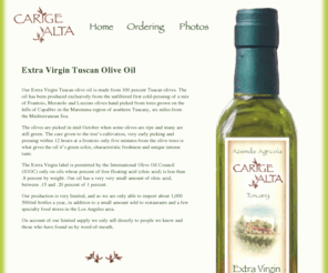 tuscanoliveoilimports.com: Extra Virgin Tuscan Olive Oil
Buy extra virgin olive oil. Our Carige Alta Extra Virgin Olive Oil is made from the unfiltered first cold-pressing of hand picked olives from trees grown on the hills of Capalbio in the Maremma region of southern Tuscany, six miles from the Tyrrhenian (Mediterranean) Sea.