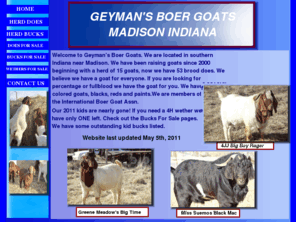 geymansboergoats.com: Geyman's Boer Goats
