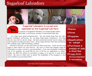 sugarloaflabradors.com: Sugarloaf Labradors Home page
We are a kennel commited to breeding quality white yellow, and black Labrador Retrievers.  Our dogs can be used as pets or hunting dogs.  We breed dogs with a great tempermant, and good hips.