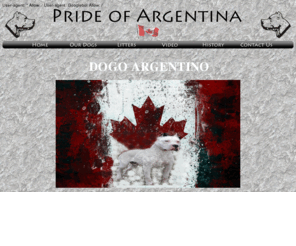 prideofargentina.com: Pride of Argentina - Dogo Argentino
Pride of Argentina - Dogo Argentino