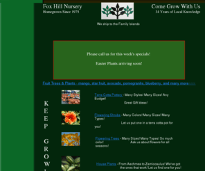 foxhillnursery.net: Fox Hill Nursery Home
The foremost garden center in the entire Bahamas. Fox Hill Nursery - Homegrown since 1975. An informative website. on tropical and sub-tropical plant materiall Catering to homeowners and landscapers throughout The Bahamas.