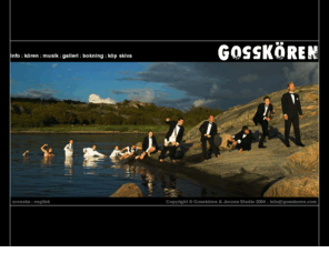 gosskoren.com: Gosskören.com
Gosskören är en glädjemaximeringsorganisation med showkörsång som affärsidé.