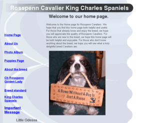 rosspenncavaliers.com: Rosspenn Cavalier King Charles Spaniels
