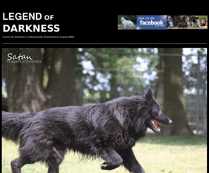 legend-of-darkness.com: élevage de altdeutsche schaferhund, bergers allemands poil long ancien type à dos droit, toutes couleurs : noirs, bleus, sables, silver
legend of darkness élevage d'altdeutsche schaferhund bergers allemands ancien type à poil long et dos droit, noir, silver, bleu, sable, bicolore, chiens sélectionnés sur la santé, la beauté et le caractère