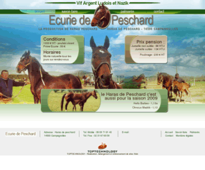 ecuriedepeschard.com: Ecurie de Peschard, vente de chevaux et poulains à Campagnolles dans le Calvados 14, Normandie
Le haras Peschard est spécialisé dans l'élevage de poulains et chevaux et propose un service de pension à Campagnolles dans le Calvados 14 en Normandie.