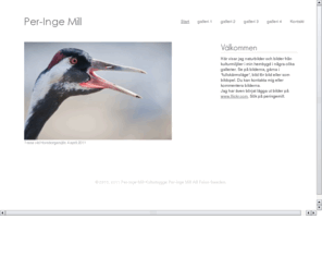 peringemill.com: Start | Per-Inge Mill photogaphy, nature and wildlife images
Här visar jag naturbilder och bilder från kulturmiljöer i min hembygd i några olika gallerier. Se på bilderna, gärna i "fullskärmsläge", bild för bild eller ...