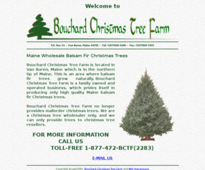 bouchardtrees.com: Maine Wholesale Balsam Fir Christmas Trees
Bouchard's Christmas tree farm located in Van Buren Maine specializes in wholesale christmas trees.  Handcrafted from freshly cut balsam fir, our christmas trees are sure to please during the holidays.