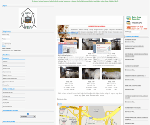 aloadak.com: AloAdak, Adak, kurban, kurbanlık koyun, inek, keçi, buzağa, bağış, - Anasayfa
Adak, kurban, kurbanlık koyun, inek, boğa, keçi, buzağa, adak, bağış, kurban, satış, et, tanzim, mangal, sucuk, koyun, koç, dana, deve, devekuşu keçi, oğlak, kesim, mezbaha, hayır, kurum