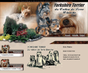 elevage-yorkshire-terrier.com: Yorkshire Terrier , levage du vallon de terre blanche
Présentation des Yorkshire Terriers de l'élevage des Terres Blanches ,Une selections des meilleurs ligne de champions Yorkshire Terrier.