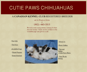 cutiepawschihuahuas.com: Cutie Paws Chihuahuas - Nova Scotia
We are breeders of registered purebred chihuahuas. We breed both coat varrieties and produce beautiful puppies that are both happy and healthy. We are located in Sackville, near Halifax, Nova Scotia.