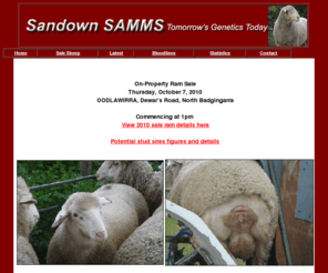 samm sheep