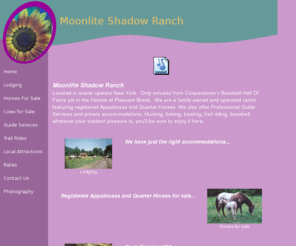 moonliteshadowranch.com: COoperstown Hunting, Lodging, Horses and Cows for Sale
Lodging near Cooperstown, NY.  Hunting, fishing, Cabin rental. Baseball Dreamspark and Hall Of Fame families welcome. Horses and cows for sale. Guided hunting and fishing adventures. 